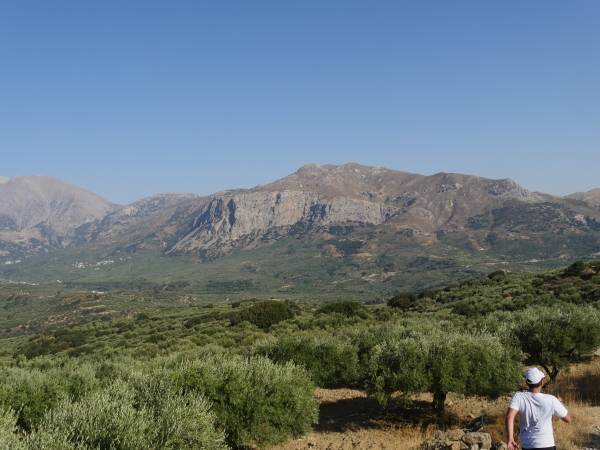 Αρκάδειος Αγώνας Δρόμου και Πεζοπορίας